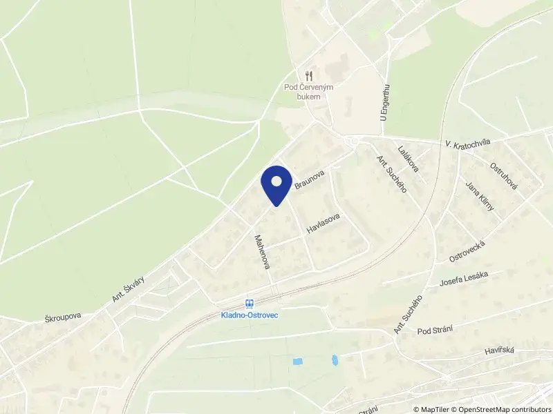 Pizza House s.r.o., Braunova 3563, 27201 Kladno - Kladno, IČO 06692443