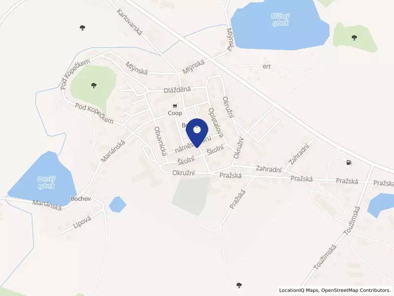 Město Bochov, náměstí Míru 1, 36471 Bochov - Bochov, IČO 00254444