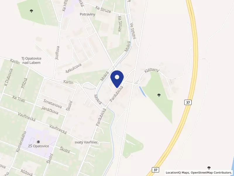 Mistr Pizza s.r.o., Opatovice nad Labem, Pardubická 41, 53345 Opatovice nad Labem - Opatovice nad Labem, IČO 28827953