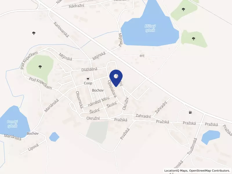TRULES s.r.o., 396, 36471 Bochov - Bochov, IČO 28033035