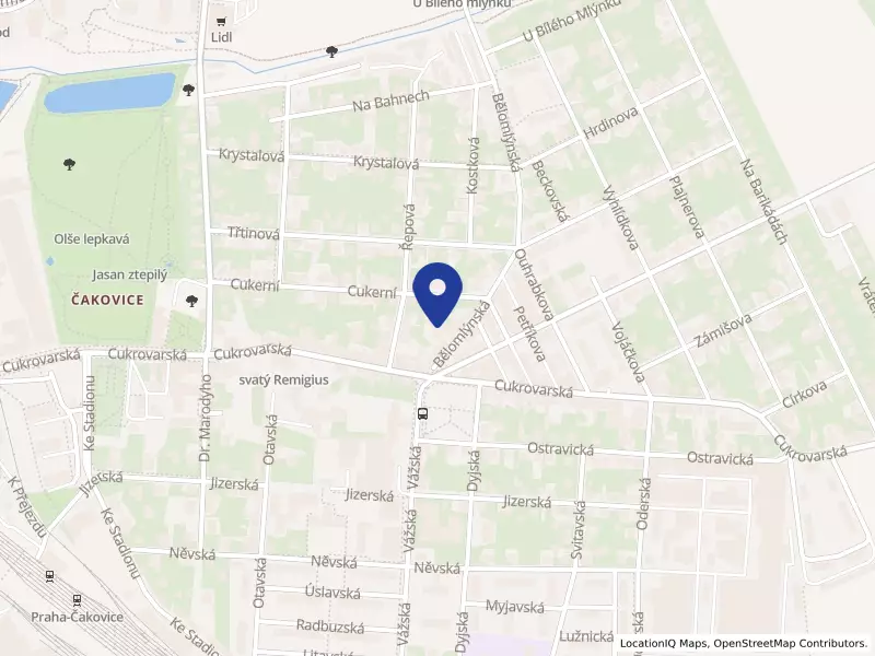 ARTEX ART SERVICES s.r.o., Praha, Bělomlýnská 57/13, 19600 Praha 9 - Čakovice, IČO 28526147