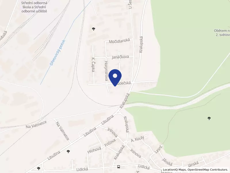 Radůza records s.r.o., Budečská 256, 27203 Kladno - Dubí, IČO 28984293