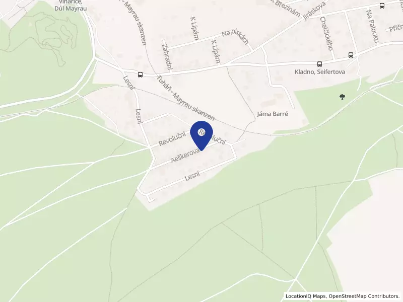 Real podlahy, s.r.o., Aeškerova 432, 27307 Vinařice - Vinařice, IČO 07030860