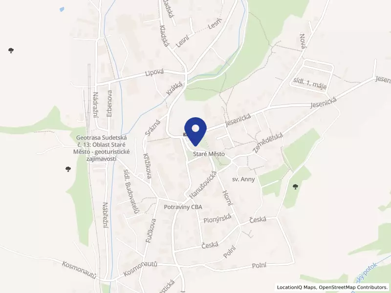 Město Staré Město, nám. Osvobození 166, 78832 Staré Město - Staré Město, IČO 00303364