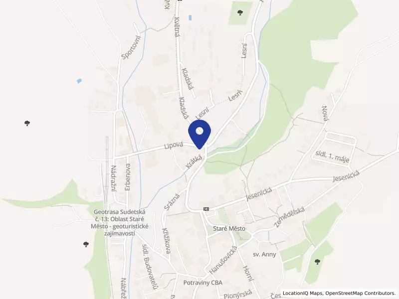 NET - vysokotlaká technika, spol. s r.o., Staré Město pod Sněžníkem, Lipová 46, PSČ 78832, IČO 41031067