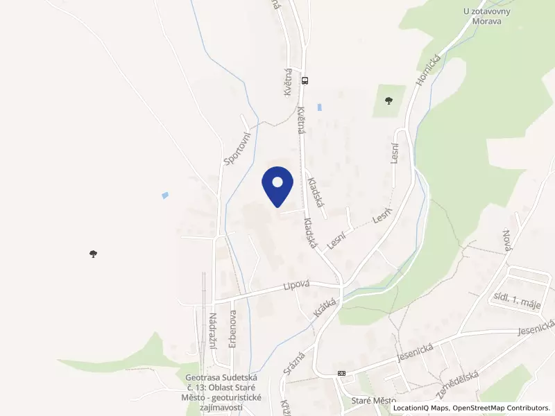 Hotely Ramzová, s.r.o., Kladská 171, 78832 Staré Město - Staré Město, IČO 29455286