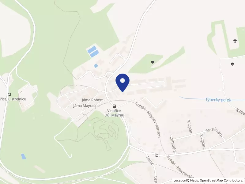 Akademie SOUVIN, střední škola, 245, 27307 Vinařice - Vinařice, IČO 71340793