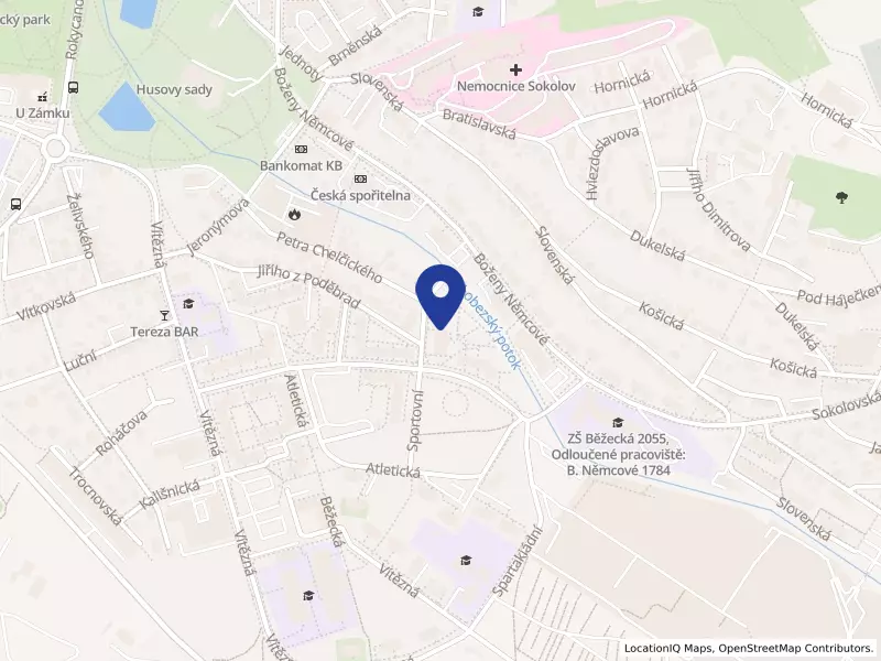 Centrum sociálních služeb Sokolov, o.p.s., Jiřího z Poděbrad 2046, 35601 Sokolov - Sokolov, IČO 28015819