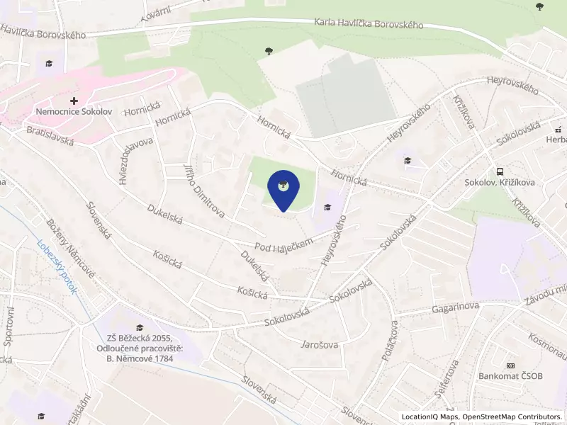 Agentura osobní asistence a sociálního poradenství, o.p.s., Hornická 1595, 35601 Sokolov - Sokolov, IČO 26395517