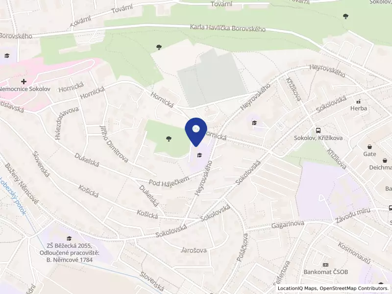 Soukromá obchodní akademie Sokolov, s.r.o., Hornická 1569, 35601 Sokolov - Sokolov, IČO 49790820