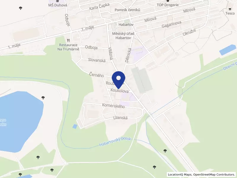 ROIS REALITY s.r.o., Koukolova 332, 35709 Habartov - Habartov, IČO 26317834