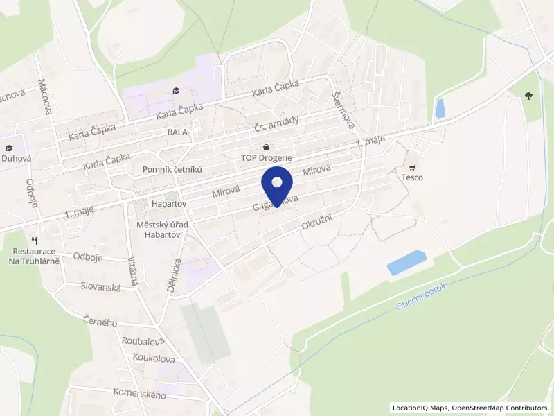 Eco Vision s.r.o., Gagarinova 51, 35709 Habartov - Habartov, IČO 29098831