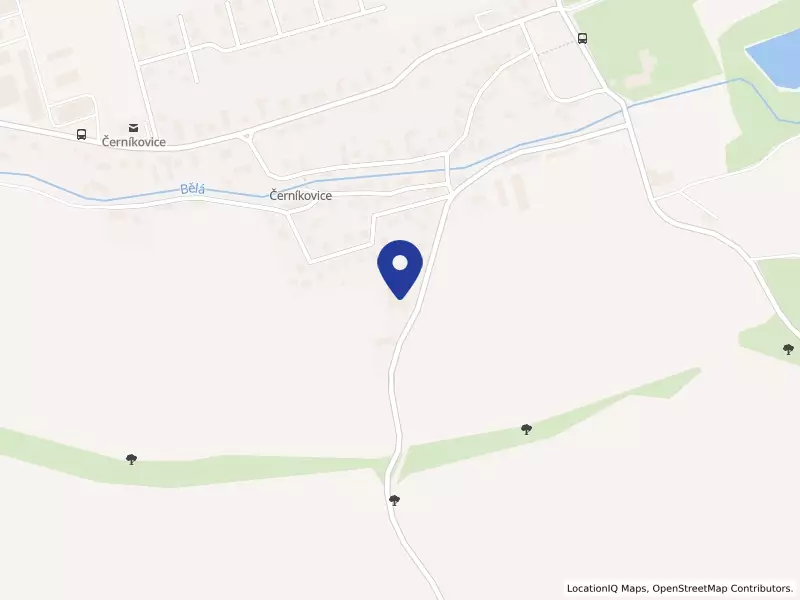 PRIMA Hospoda s.r.o., 138, 51704 Černíkovice - Černíkovice, IČO 28827996