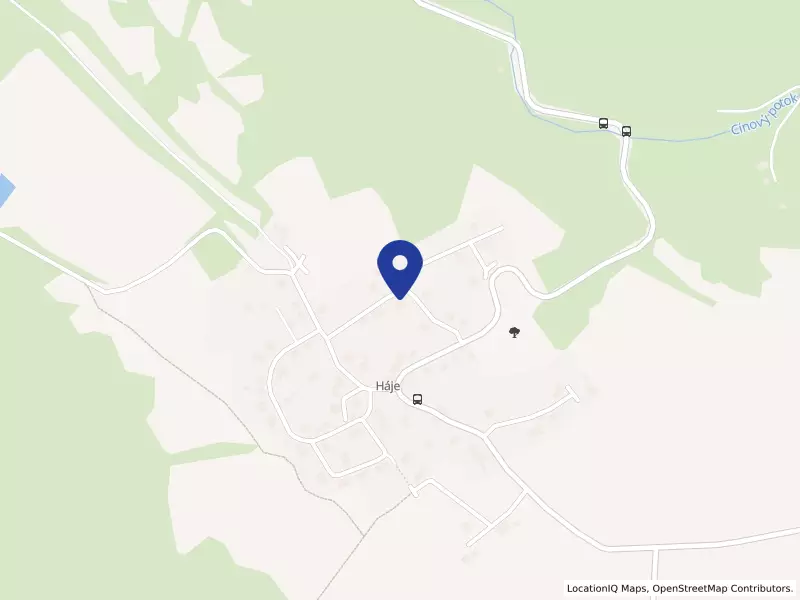 Deník Optimista s.r.o., 96, 36001 Kolová - Háje, IČO 08926271