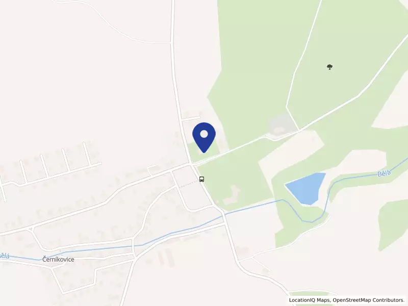 Základní škola a Mateřská škola Černíkovice, okres Rychnov nad Kněžnou, 295, 51704 Černíkovice - Černíkovice, IČO 70978204