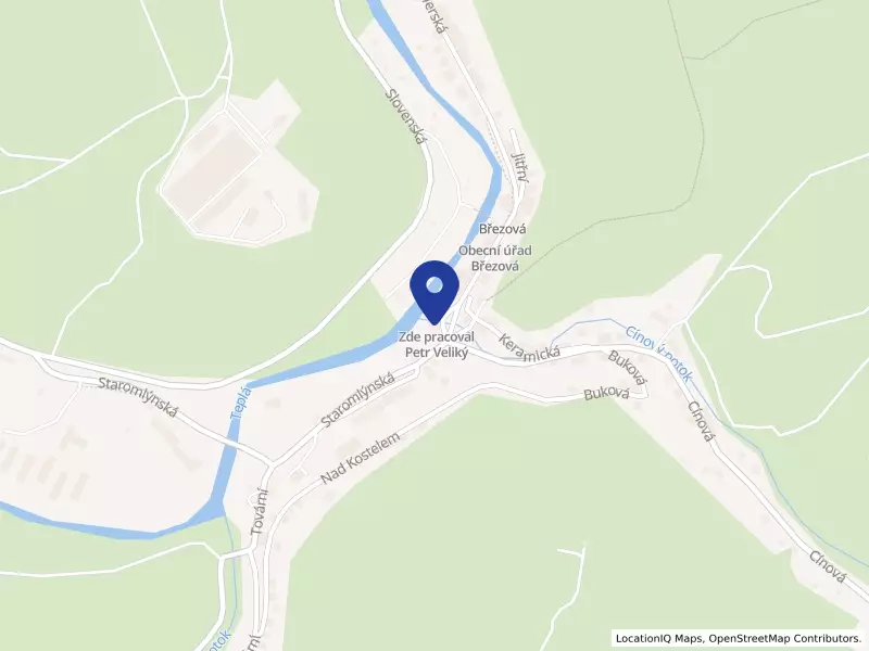 Nas. S. Dental Clinic s.r.o., Hamerská 130/56, 36001 Březová - Březová, IČO 28033841