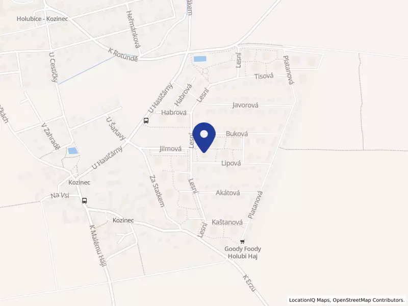 Bjoo s.r.o., Lipová 71, 25265 Holubice - Kozinec, IČO 28617584