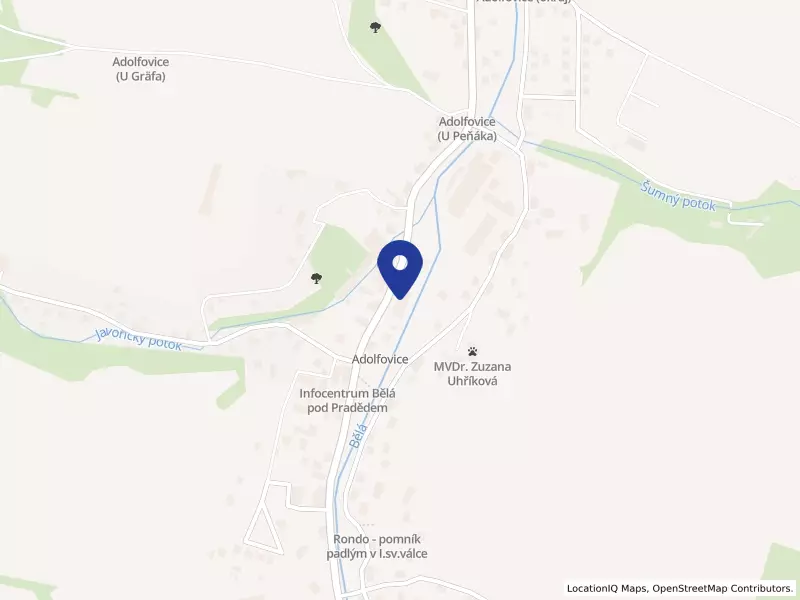 Baudis model s.r.o., 322, 79001 Bělá pod Pradědem - Adolfovice, IČO 06686761