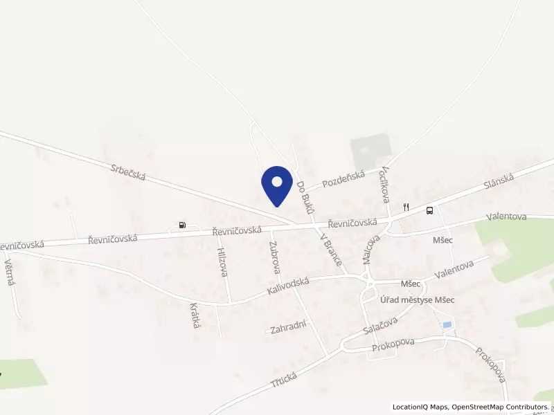 Vaše střecha s.r.o., Mšec, Srbečská 244, 27064 Mšec - Mšec, IČO 08603243