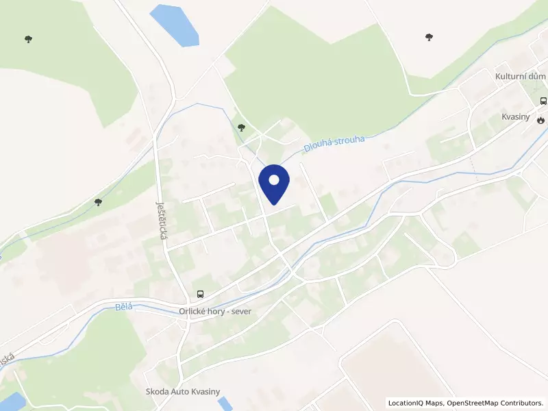 Šefl s.r.o., 317, 51702 Kvasiny - Kvasiny, IČO 28792980