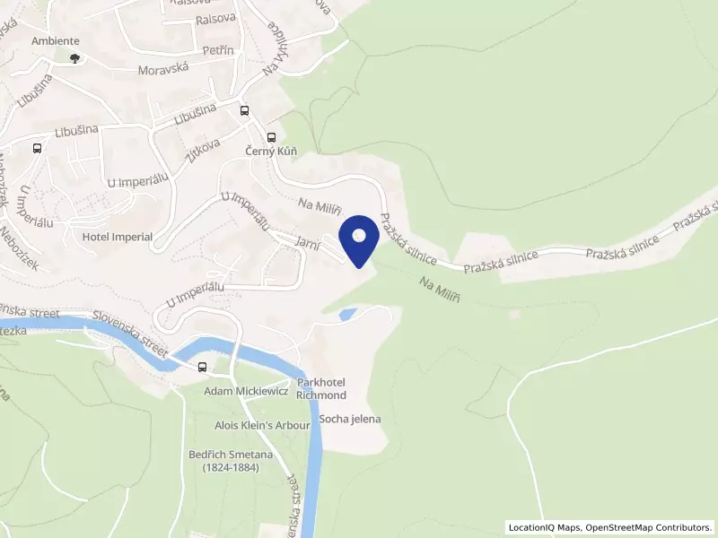 BS-RESIDENCE s.r.o., Jarní 1235/6, 36001 Karlovy Vary - Karlovy Vary, IČO 28057732