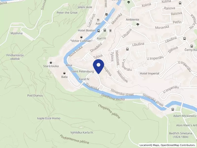 EDEN GROUP a.s., Mariánskolázeňská 223/25, 36001 Karlovy Vary - Karlovy Vary, IČO 26340062
