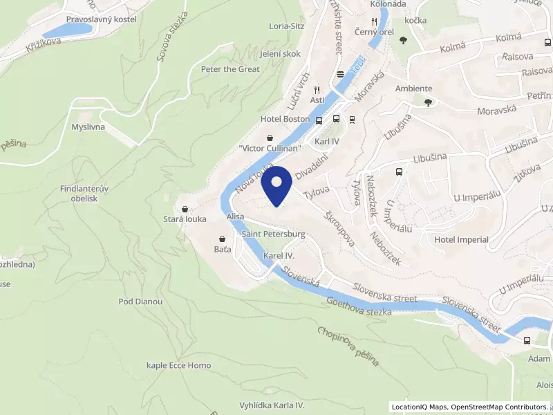 INFOCENTRUM MĚSTA Karlovy Vary, z.ú., Husovo náměstí 270/2, 36001 Karlovy Vary - Karlovy Vary, IČO 26330725