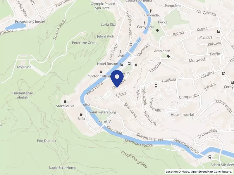 CHIMINVEST s.r.o., Divadelní 1036/13, 36001 Karlovy Vary - Karlovy Vary, IČO 25234731