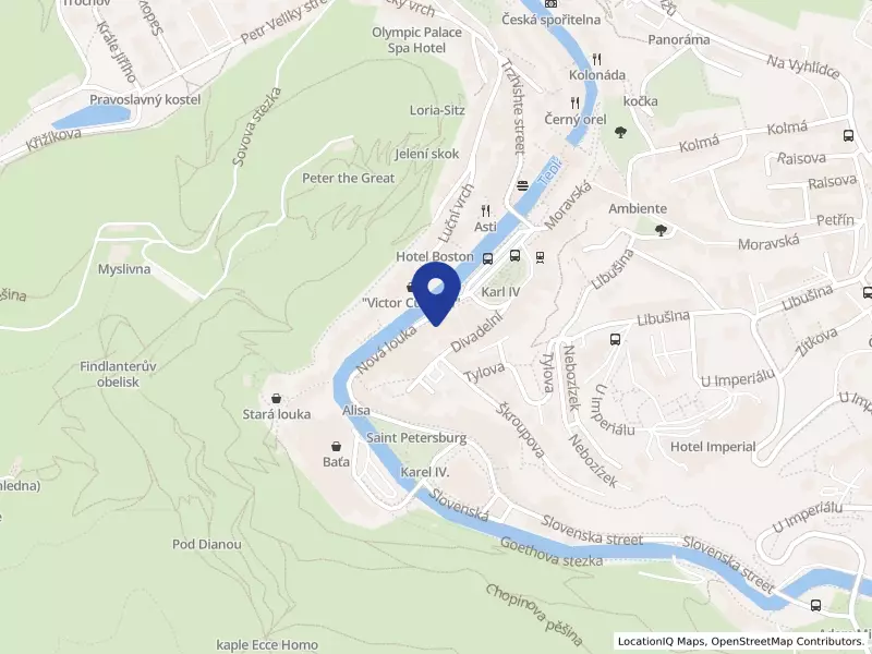 LITPROM s.r.o., Nová louka 284/5, 36001 Karlovy Vary - Karlovy Vary, IČO 25226525