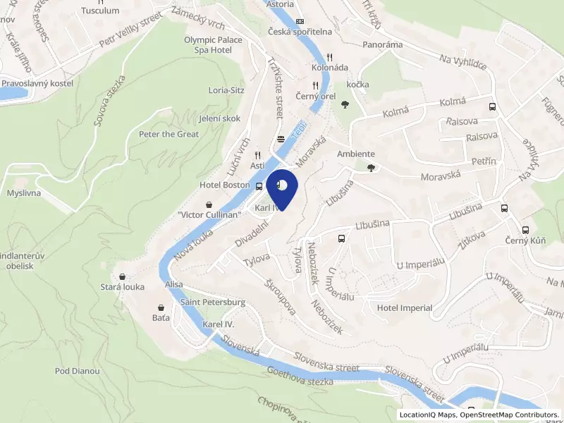 OLYMP INTERNATIONAL, s.r.o., Divadelní náměstí 253/17, 36001 Karlovy Vary - Karlovy Vary, IČO 25102427