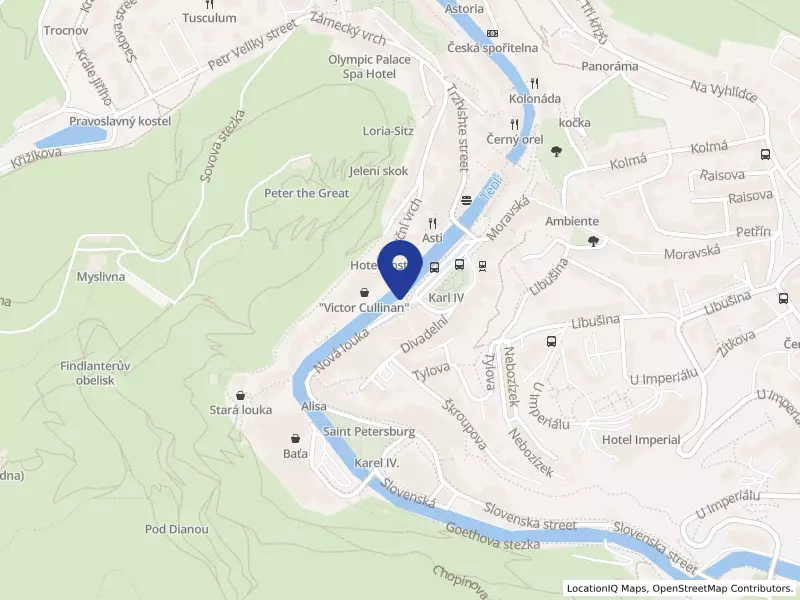 BAR BLAU s.r.o., Nová louka 2146/2, 36001 Karlovy Vary - Karlovy Vary, IČO 61172171