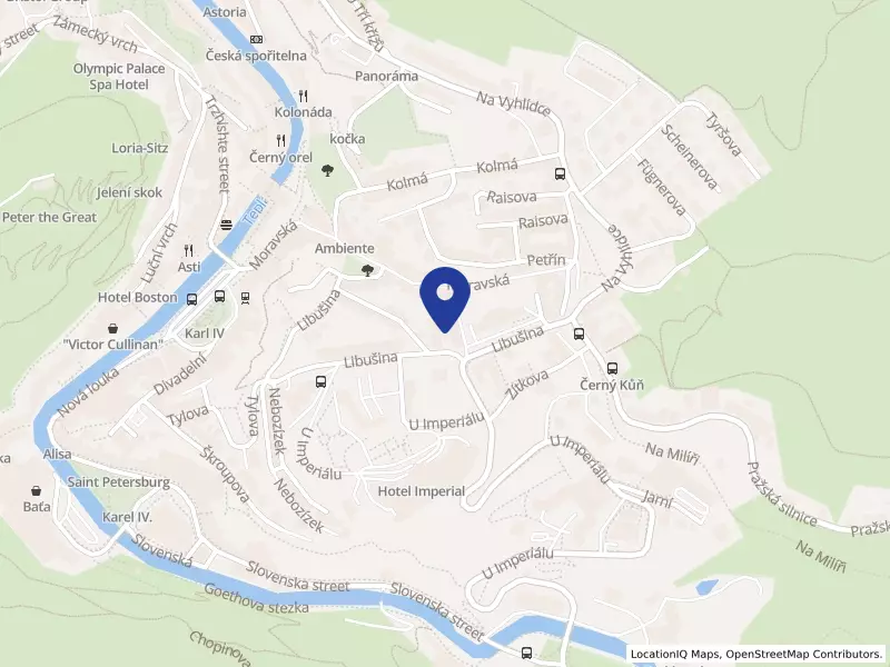 SANATORIUMS.COM T&E s.r.o., Libušina 2127/19, 36001 Karlovy Vary - Karlovy Vary, IČO 07173610