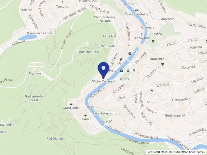 KOSABO s.r.o., Stará Louka 460/38, 36001 Karlovy Vary - Karlovy Vary, IČO 25233122
