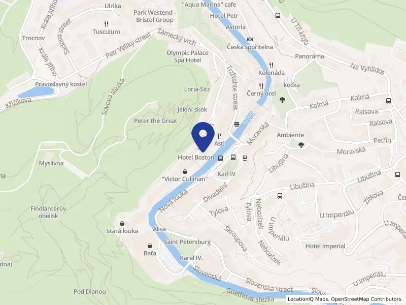 MONTRAVEL s.r.o., Stará Louka 346/26, 36001 Karlovy Vary - Karlovy Vary, IČO 01396218