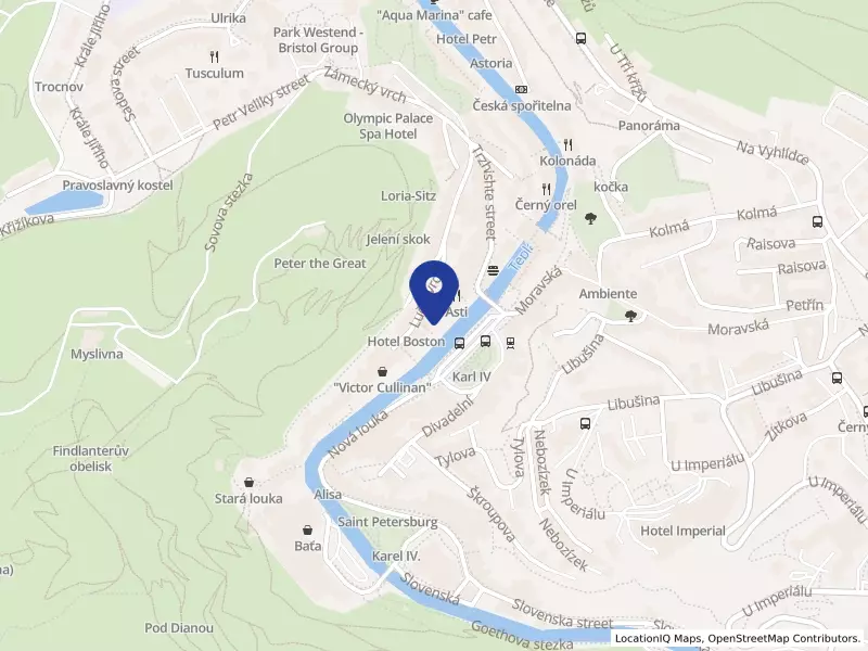 FOOD TRUCK FACTORY s.r.o., Stará Louka 2150/22, 36001 Karlovy Vary - Karlovy Vary, IČO 10914111