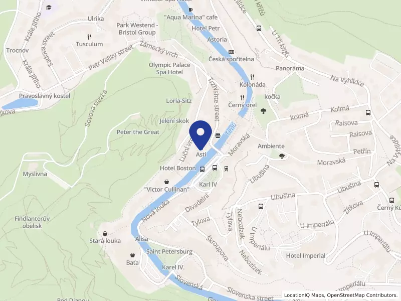 ANTONY s.r.o., Karlovy Vary, Stará Louka 372/16, 36001 Karlovy Vary - Karlovy Vary, IČO 63474140