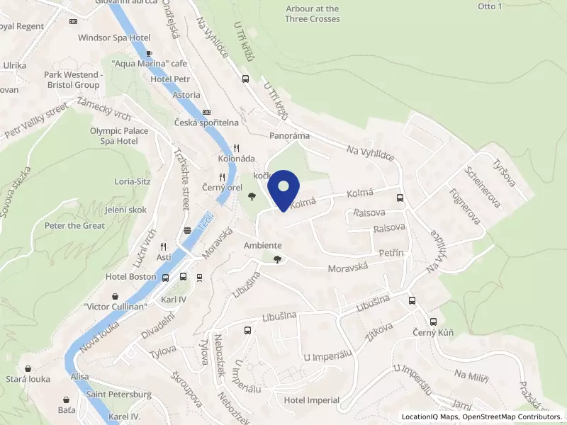 LiSS Group, s.r.o., Kolmá 802/20, 36001 Karlovy Vary - Karlovy Vary, IČO 25243870