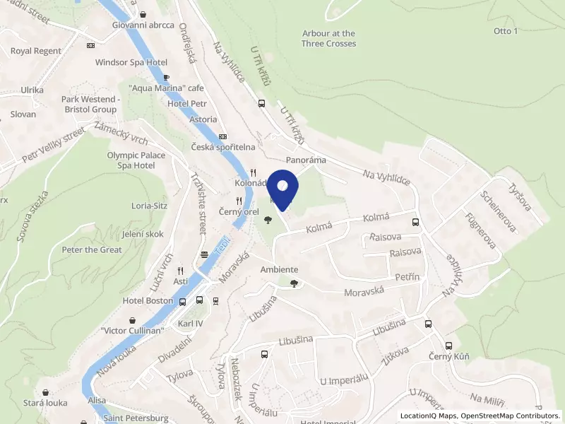 iPhysios s.r.o., Stezka Jeana De Carro 153/6, 36001 Karlovy Vary - Karlovy Vary, IČO 10862960