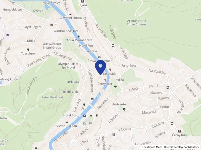 ALBANELA spol. s r.o., Karlovy Vary, Lázeňská 34, PSČ 36001, IČO 25227319