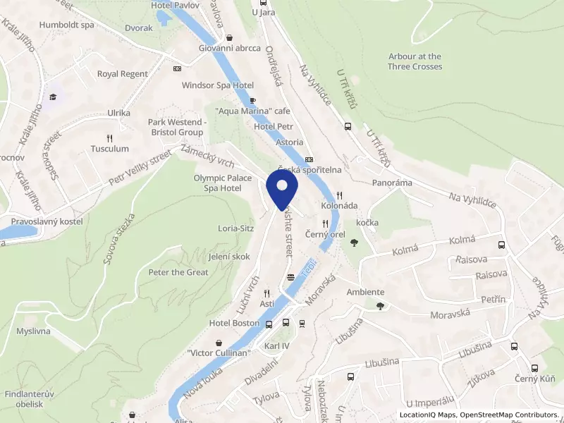 Bio Zelenina KV s.r.o., Zámecký vrch 390/1, 36001 Karlovy Vary - Karlovy Vary, IČO 08739528
