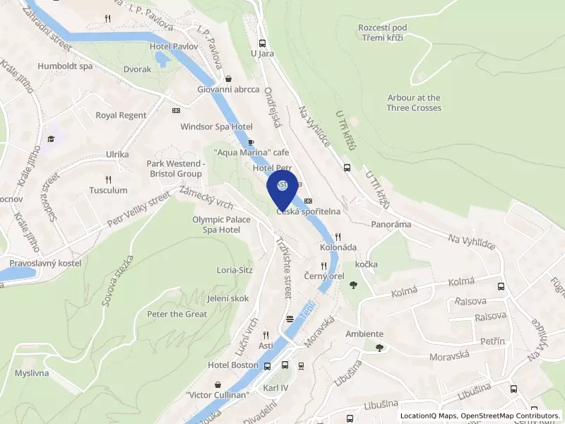 Správa přírodních léčivých zdrojů a kolonád, příspěvková organizace, Lázeňská 18/2, 36001 Karlovy Vary - Karlovy Vary, IČO 00872113