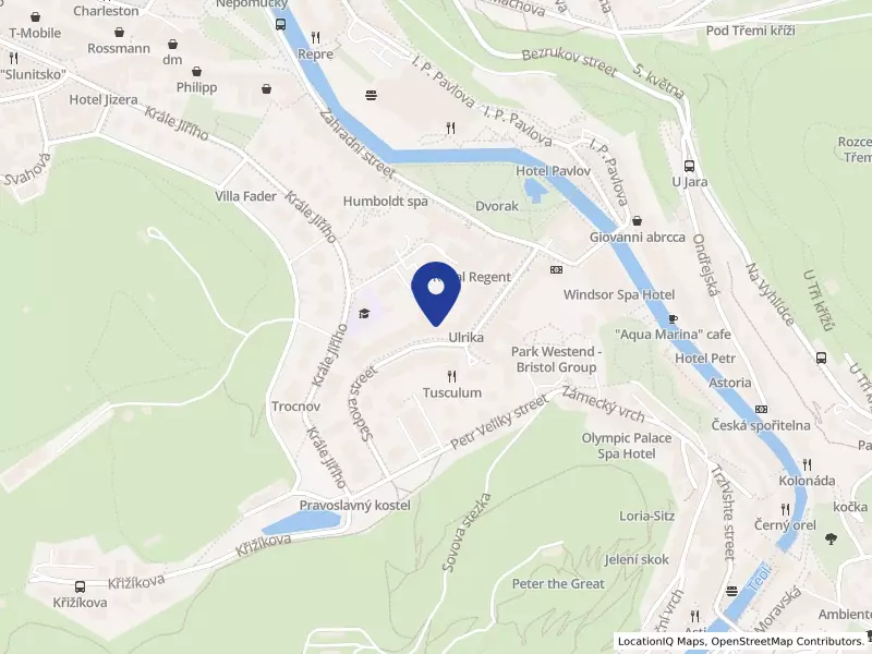 Carlsbad Hotels Group s.r.o., Karlovy Vary, Sadová 956/28, 36001 Karlovy Vary - Karlovy Vary, IČO 09253335