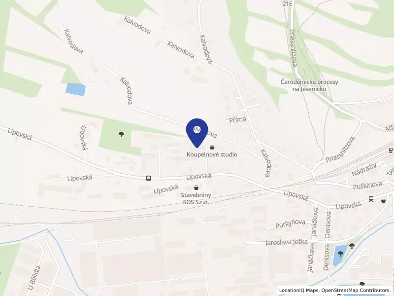 STAVEBNINY BENEŠ s.r.o., Lipovská 401/101, 79001 Jeseník - Jeseník, IČO 09766995