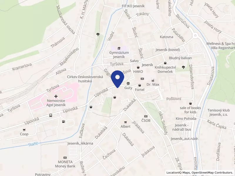 Darmoděj z.ú., Lipovská 131/4, 79001 Jeseník - Jeseník, IČO 27027864