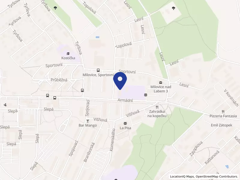 Mateřská škola Sluníčko, příspěvková organizace, Milovice - Mladá, Topolová 622, 28924 Milovice - Mladá, IČO 75072441