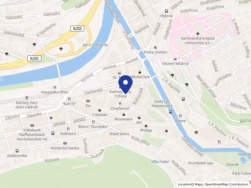 DALAL s.r.o., Jugoslávská 1269/12, 36001 Karlovy Vary - Karlovy Vary, IČO 26353008