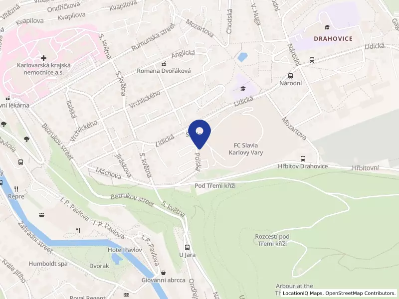 Recovery Clinic a.s., Lidická 447/12, 36001 Karlovy Vary - Drahovice, IČO 09796223