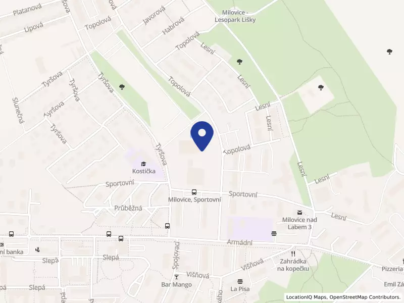 BALYMODI s.r.o., Sportovní 587, 28923 Milovice - Mladá, IČO 07701403