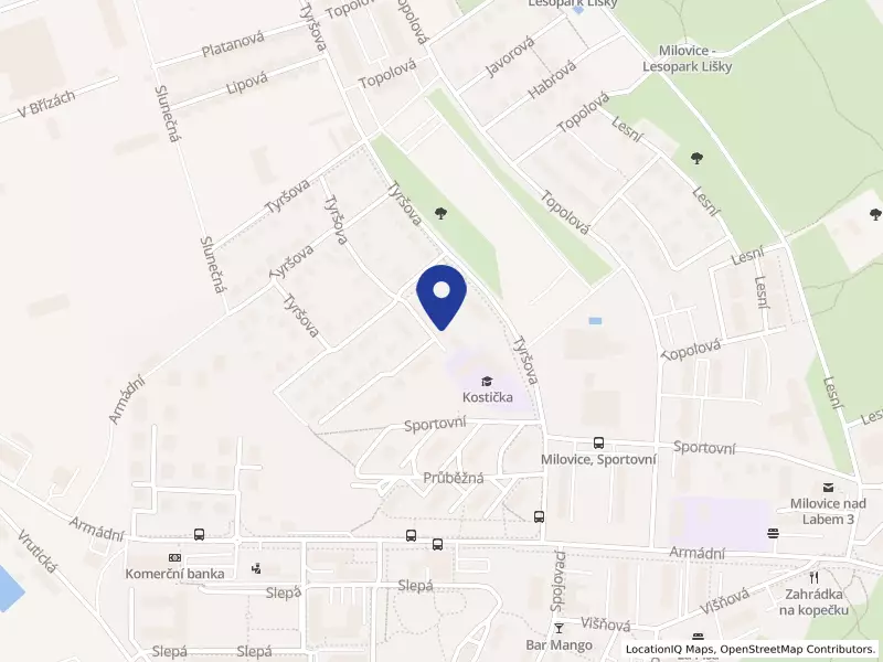 Max & Hayd s.r.o., Tyršova 1514, 28923 Milovice - Mladá, IČO 08848386