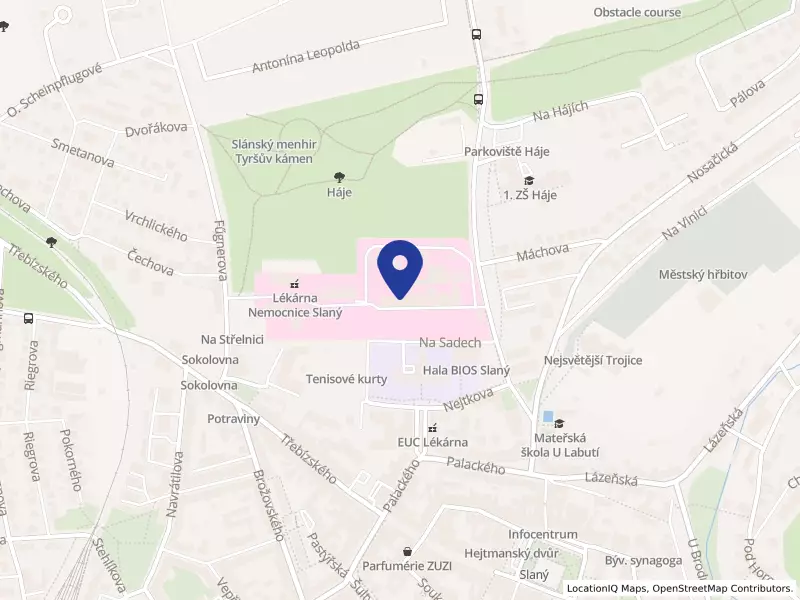 Nemocnice Slaný, Politických vězňů 576, 27401 Slaný - Slaný, IČO 00875295
